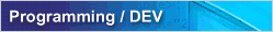 Programming / DEV